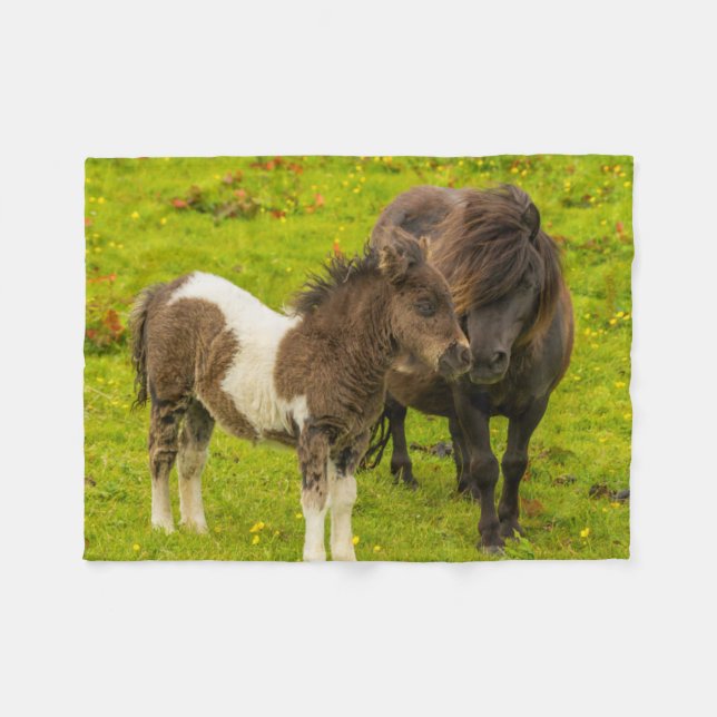 Cobertor De Velo Mãe e cria de pônei Shetland (Frente (Horizontal))