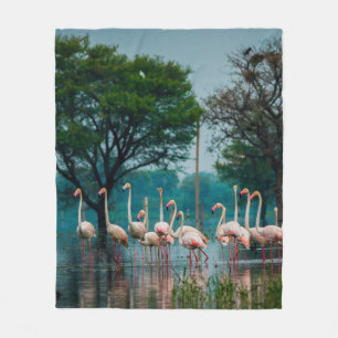 Cobertor De Velo Maior rebanho flamingo no habitat natural. Uma nat