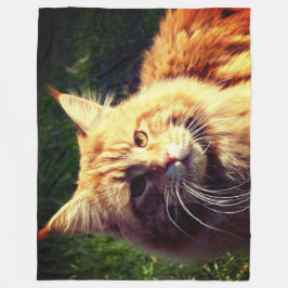 Cobertor De Velo Mane Coon