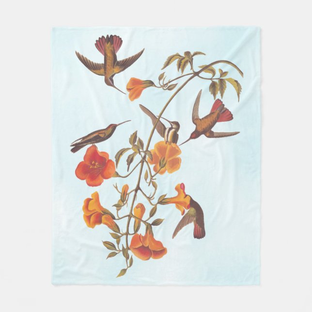 Cobertor De Velo Mangrove Hummingbird with Orange Trumpet Flowers (Frente)