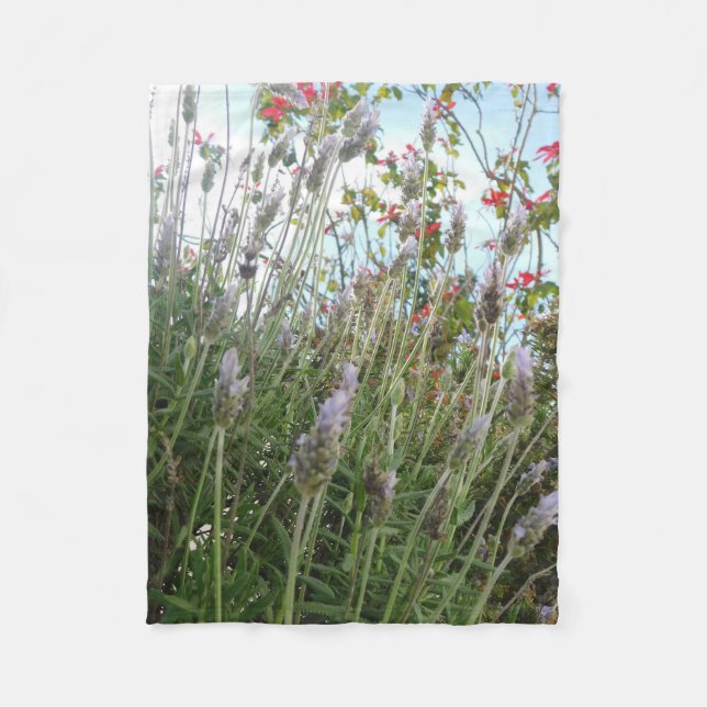 Cobertor De Velo manta (Frente)