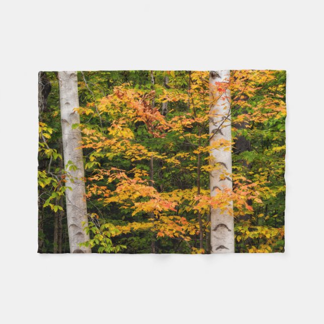 Cobertor De Velo Maple & White Birch | Montanhas brancas, NH (Frente (Horizontal))