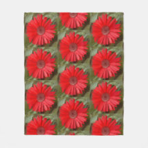 Margarida Laranja Floral Botânica