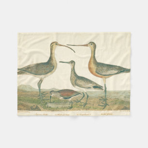Cobertor De Velo Marsh Bird Curlew Snipe Birding
