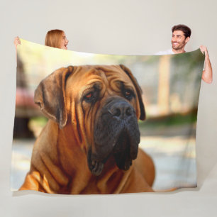 COBERTOR DE VELO MASTIFF INGLÊS
