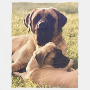 COBERTOR DE VELO MASTIFFS INGLÊS