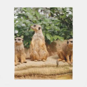 Cobertor De Velo Meerkat 008