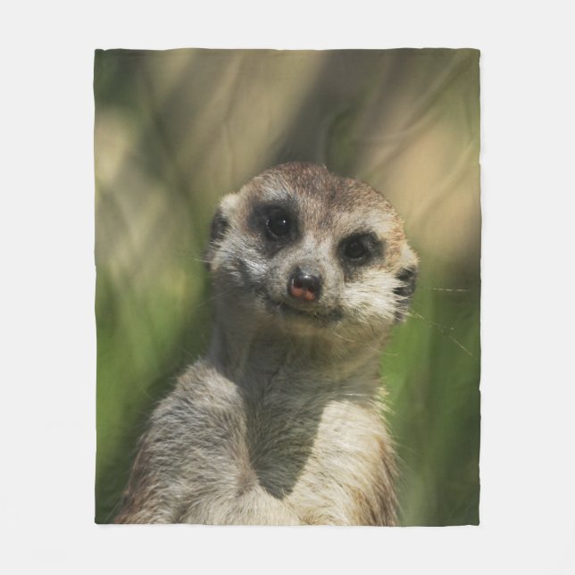 Cobertor De Velo Meerkat 034 (Frente)