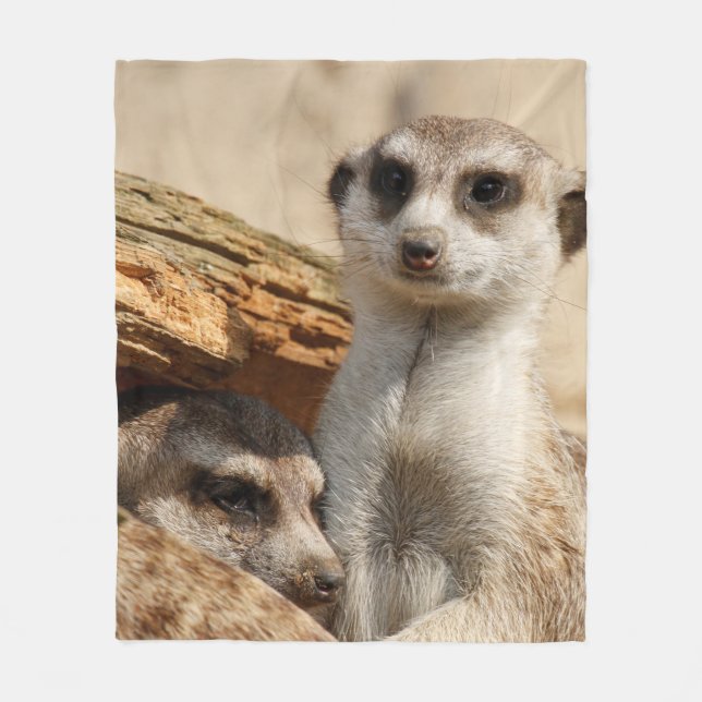 Cobertor De Velo Meerkat 042 (Frente)