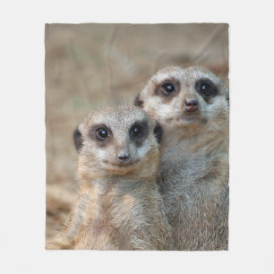 Cobertor De Velo Meerkat 047