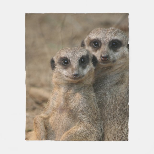 Cobertor De Velo Meerkat 067 (Frente)