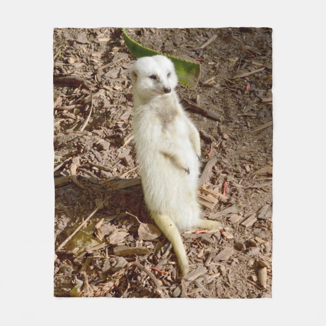 Cobertor De Velo Meerkat Branco, Flórida Média. (Frente)