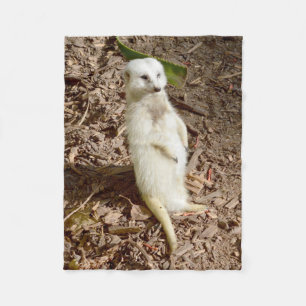 Cobertor De Velo Meerkat Branco, Pequeno Flórida.