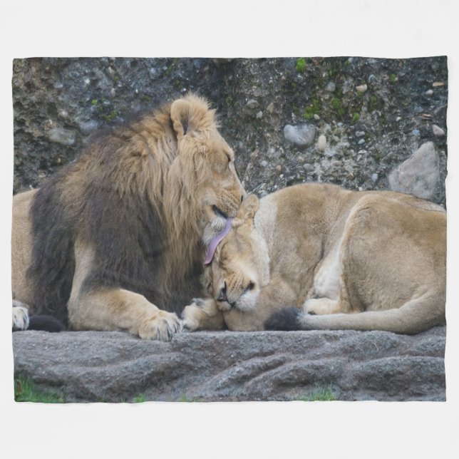 Cobertor De Velo Mighty Lion Love (Frente (Horizontal))