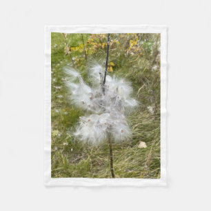 Cobertor De Velo Milkweed Borboleta