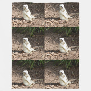Cobertor De Velo Modelo na Natureza: White Meerkat Posing for Camer