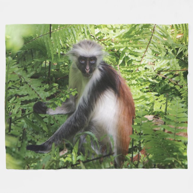 Cobertor De Velo Monkey Fleece Blanket (Frente (Horizontal))