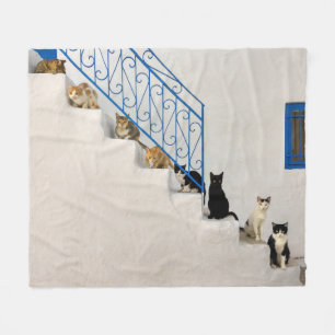 Cobertor De Velo Muitos gatos numa escada branca numa aldeia grega