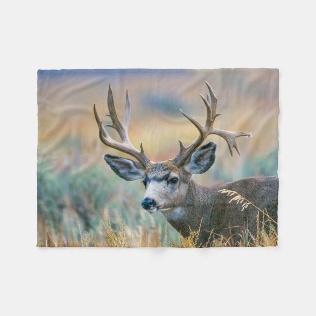 Cobertor De Velo Mule Deer Buck | Grand Teton National Park Wyoming (Frente (Horizontal))
