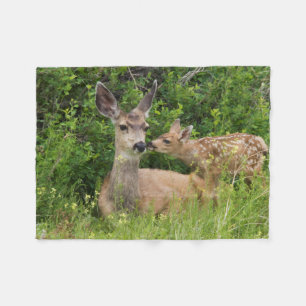 Cobertor De Velo Mule Deer Doe com Fawn