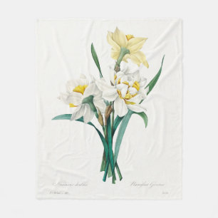 Cobertor De Velo Narciso Duplo, Pierre-Joseph Redouté, 1827