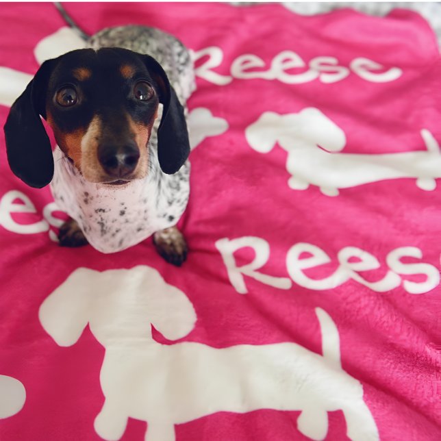 Cobertor De Velo Nome de Personalização do Folheto do Cachshund do  (Personalized dachshund blanket - add your doxies name and favorite color)
