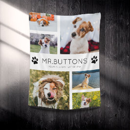 Cobertor De Velo Nome Moderno de Pet Personalizado Colagem de Fotos