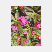 Ocupado Lizzie Rosa e Verde