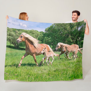 Cobertor De Velo Os cavalos de Haflinger com potros bonitos