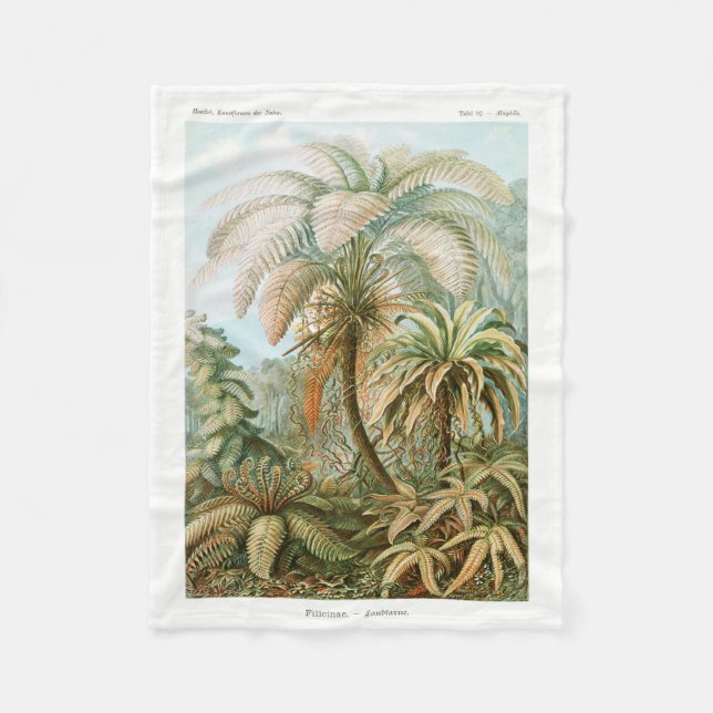 Cobertor De Velo Palm Tree Ernst Haeckel (Frente)