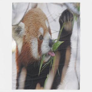 Cobertor De Velo Panda vermelha com fome