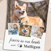 Para sempre em nosso Memorial do Cachorro Pet Memo
