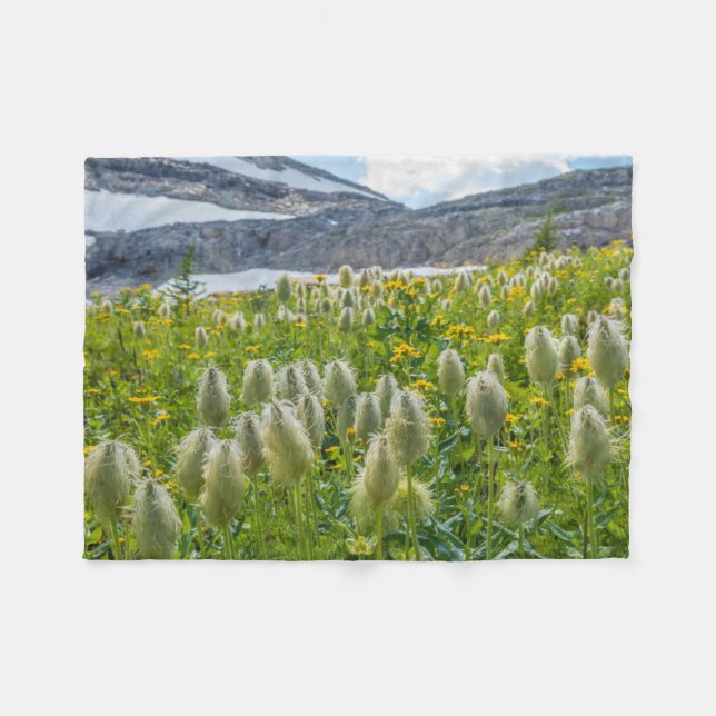 Cobertor De Velo Pasqueflower Ocidental | Montanhas de East Kootena (Frente (Horizontal))