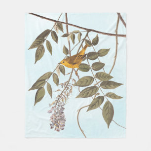 Cobertor De Velo Pássaro de Audubon Amarelo-Azul na Wisteria
