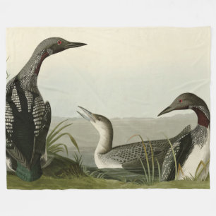 Cobertor De Velo Pássaros de Audubon com trote negra