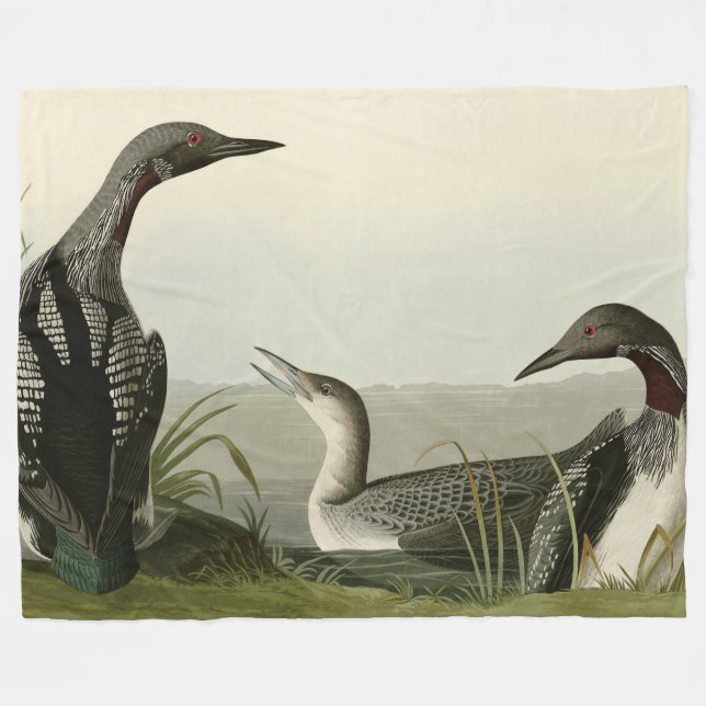 Cobertor De Velo Pássaros de Audubon com trote negra (Frente (Horizontal))