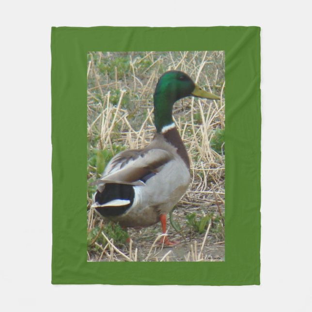Cobertor De Velo Pato-real-macho B12 (Frente)