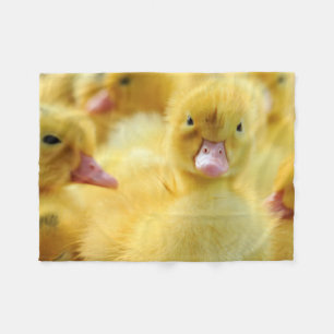 Cobertor De Velo Patos pequenos