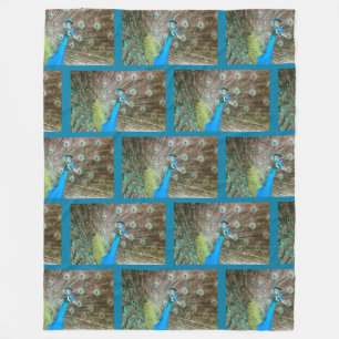 Cobertor De Velo Pavão com penas banidas - Foto de aves selvagens