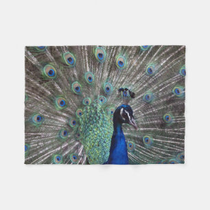 Cobertor De Velo Peacock Pride