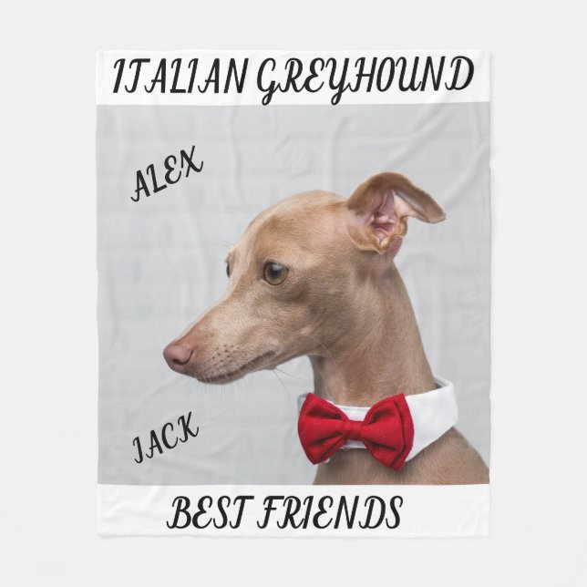 COBERTOR DE VELO PEDAÇO DE GREYHOUND ITALIANO COM NOMES. (Frente)