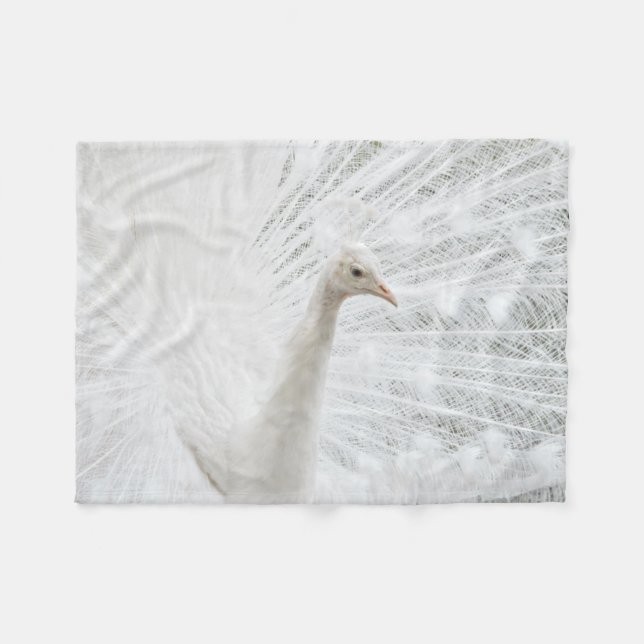 Cobertor De Velo Penas bonitas de Peacock Branco (Frente (Horizontal))