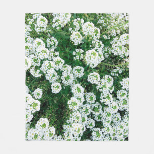 Cobertor De Velo Pequenas flores brancas na grama durante o dia em