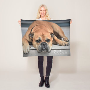 Cobertor De Velo Pet Dog Chubby Continental Buldog