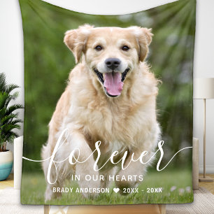 Cobertor De Velo Pet Memorial Modern Photo Sympathy Pet Loss