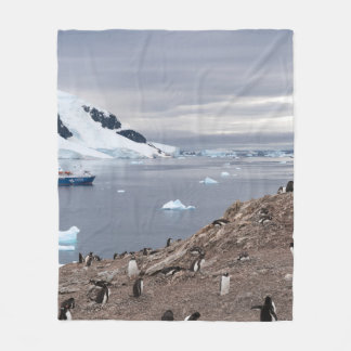 COBERTOR DE VELO PINGUINS ALÉM DO MAR