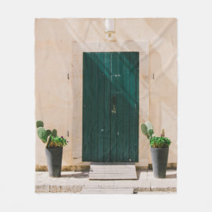 COBERTOR DE VELO PLANTA DE CACTÃO VERDE PERTO DA PORTA VERDE
