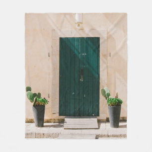 COBERTOR DE VELO PLANTA DE CACTÃO VERDE PERTO DA PORTA VERDE