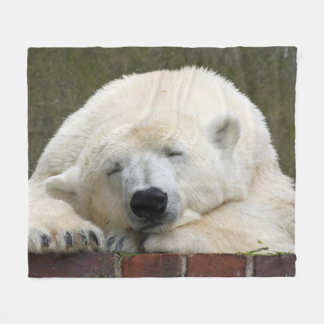 Cobertor De Velo PolarBear_2015_0401 (Frente (Horizontal))