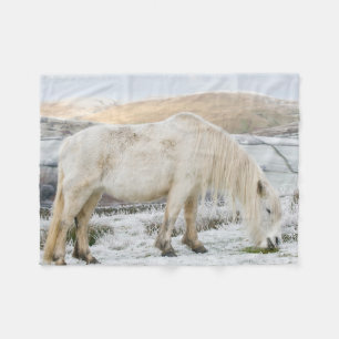 Cobertor De Velo Pônei Branco Fell em Moorland no Inverno